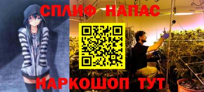 тгк Краснодар