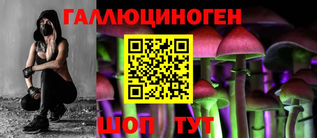 Псилоцибиновые грибы Cubensis Ковров